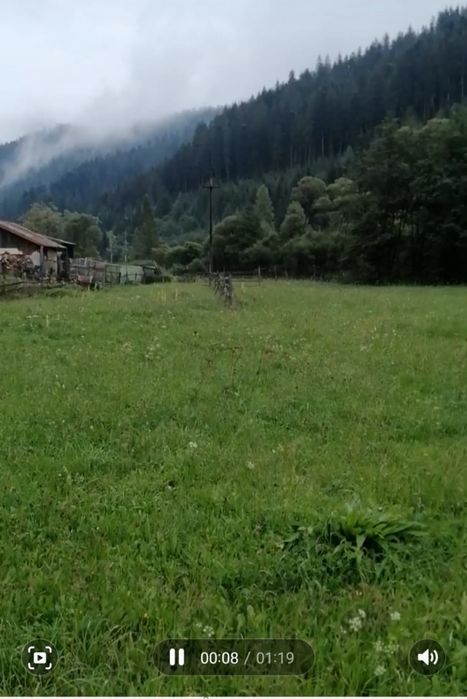 Teren Valea Putnei/ Pojorata