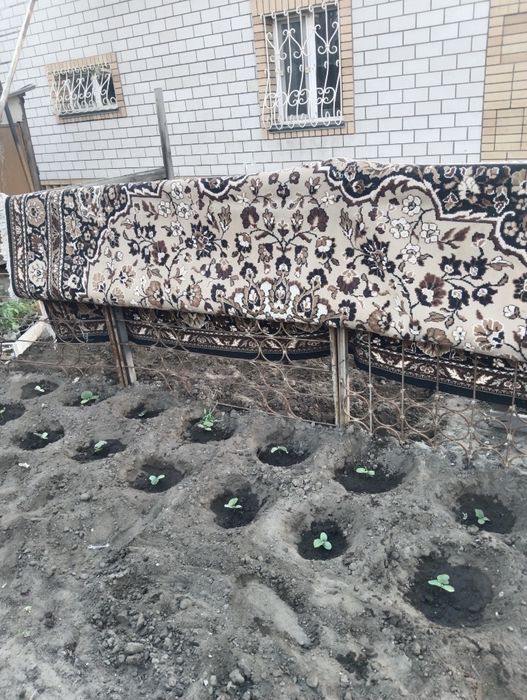 Продам ковёр 3*4метра.