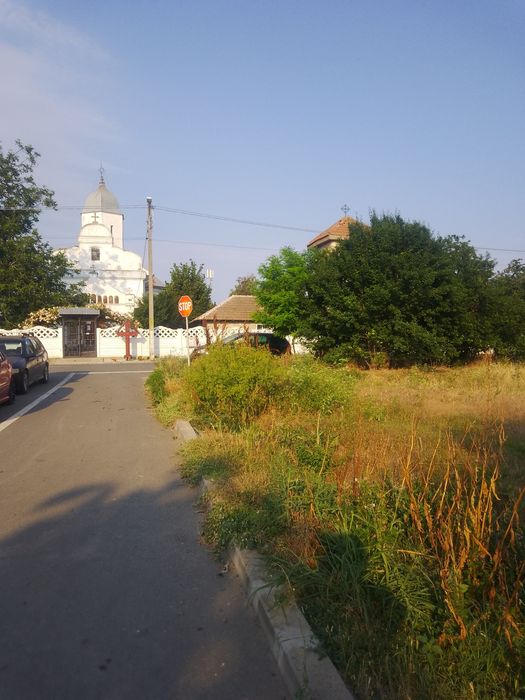 Teren intravilan mosneni