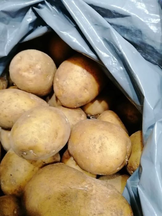 Продам картофель домашний.