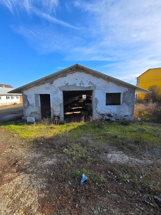 Grajd ,hală, clădire