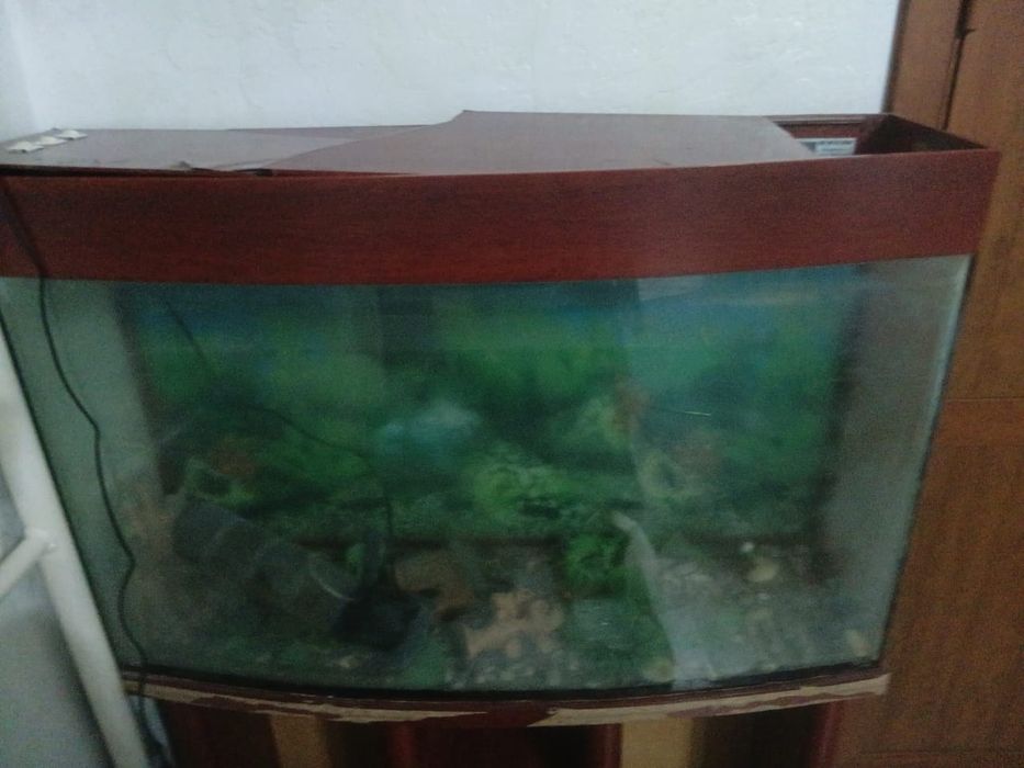 Аквариум 255 литров