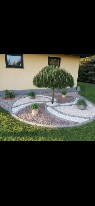 Plante Ornamentale si Gazon rulau Vand si Montez