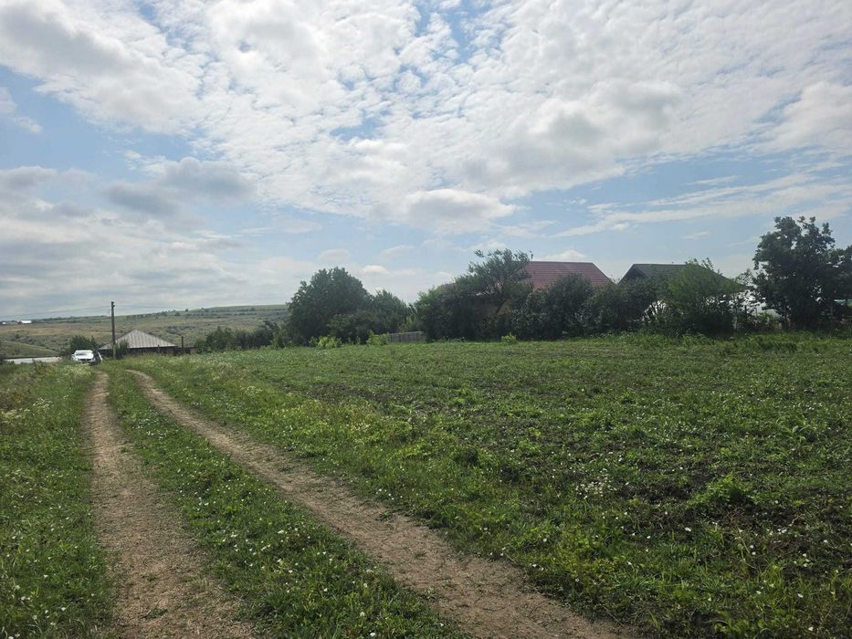 Teren vânzare Budăi, Podu - Iloaiei