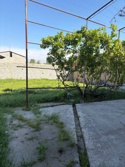 Nazarbek,Turkiston