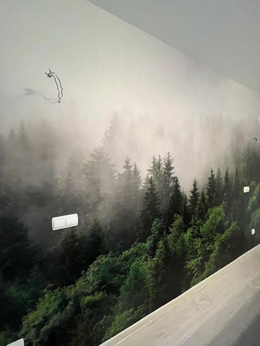 Montaj Tapet fototapet