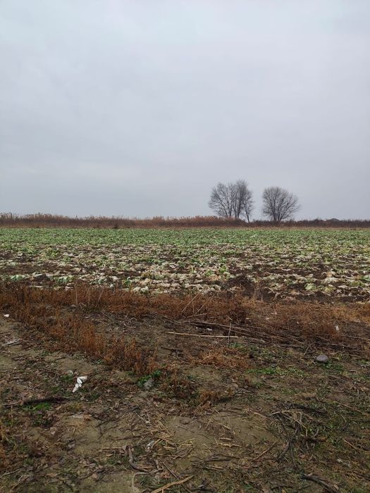 Продаётся крестьянское хозяйство!