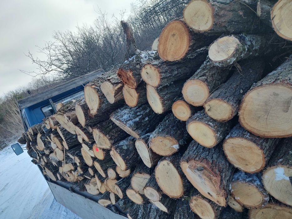 Дърва за огрев дъб и бук на метар