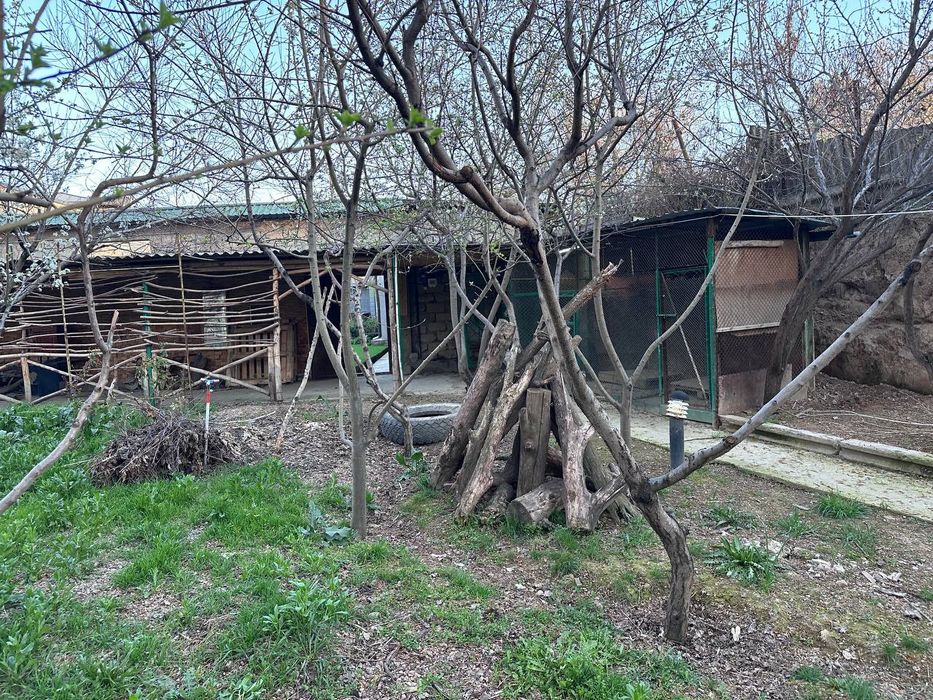 Сельхоз Селекция Дом участок 9 + 40 соток под бизнес и жильё