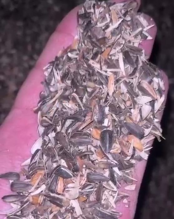 Продам отходы семечки