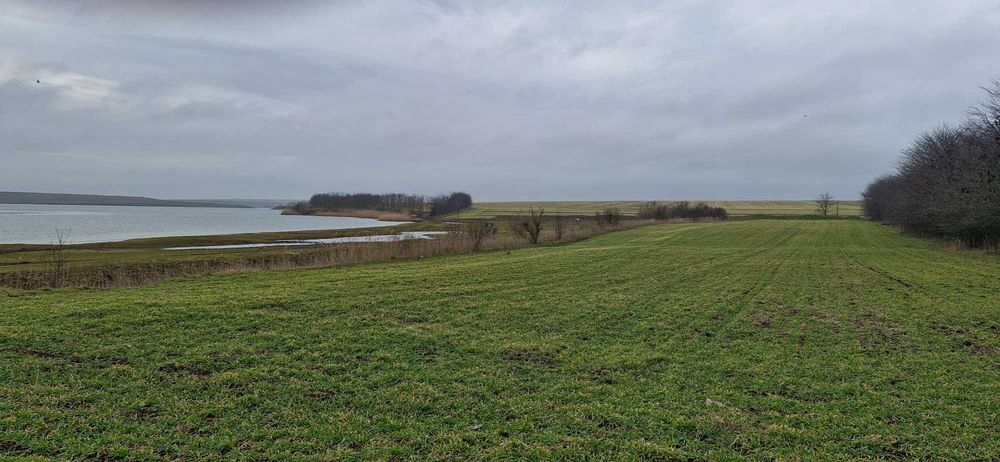 Teren la Lacul Techirghiol