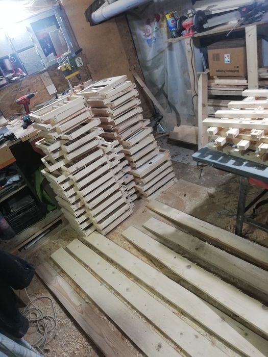 Fete de boxe porumbei