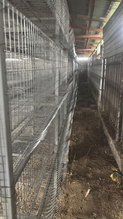 Клетки для кур несушек