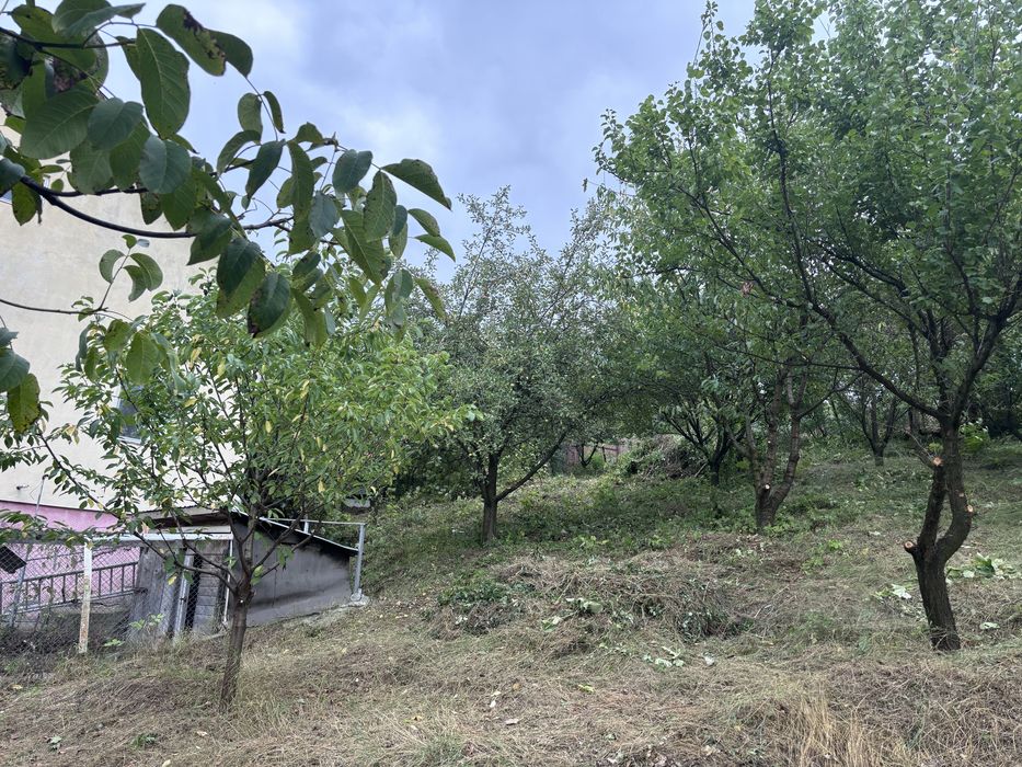 Casă cu etaj, foișor, garaj și livadă - 700 mp teren - Persoană Fizica - Lunca Cetațuii