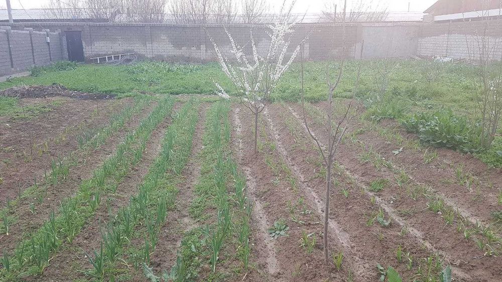 Юнусободда 8 сотих (4+4) ер сотилади (Газ, сув, свет, кадастр бор)