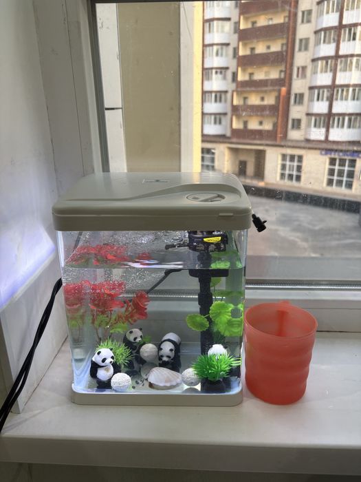 Аквариум для маленьких рыб