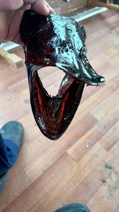 Продам макет щучиия голова