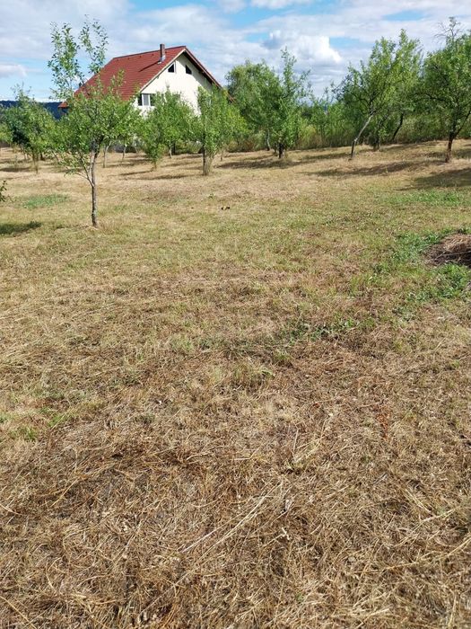 Intravilan Milcoiu jud Vâlcea