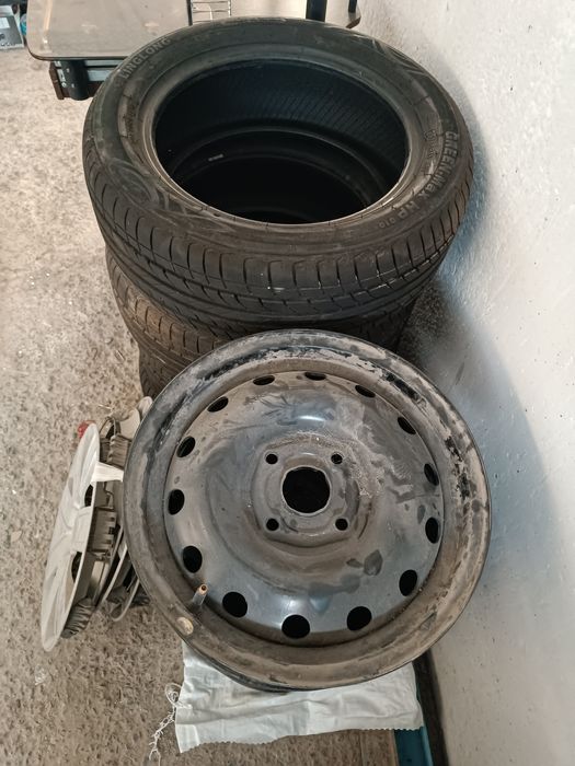 Жентра диска, балон, колпак родной