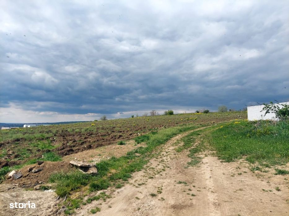 Teren intravilan industrial, zona Zeelandia, E583, utilitati