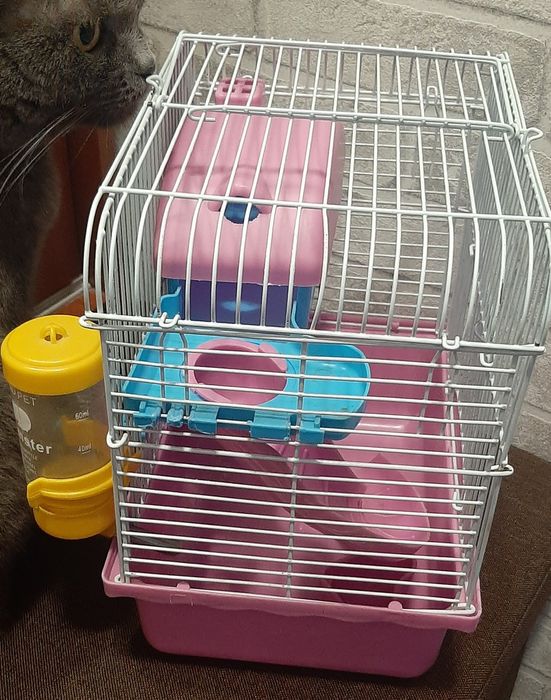 Клетка для хомячка джунгарика