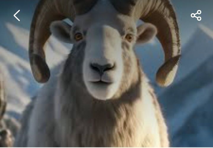 Qasob xizmati xurshid