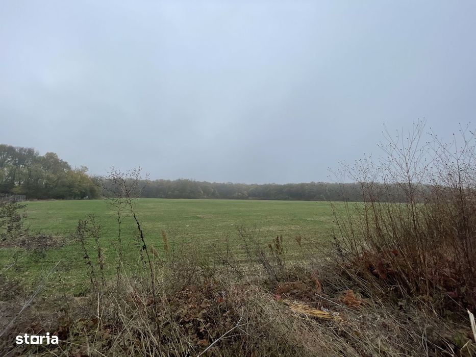 9400 mp | Ideal pentru investitie | Tunari | Deschidere la padure