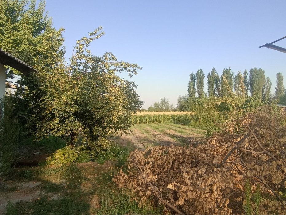 Уй сотилади срочна