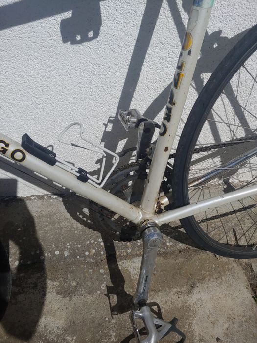 Cursiera colnago