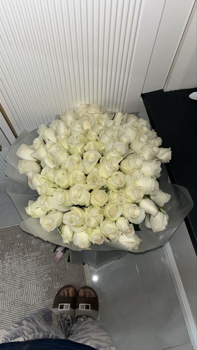 Свежый гул бугинги