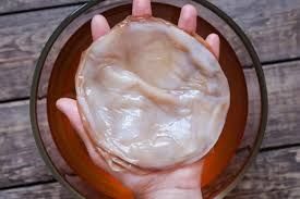 Чайный гриб / камбуча