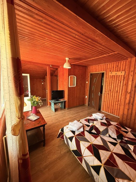Vila Valea Doftanei