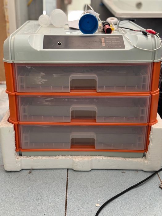 Мини инкубатор .