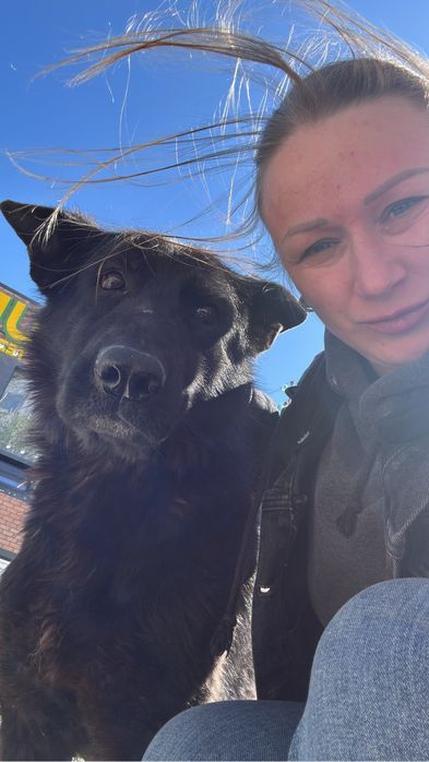 Найдена оачарка