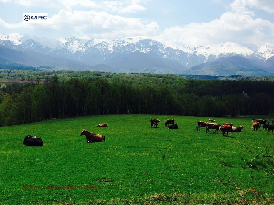 Парцел в Ловеч, област-гр.Априлци площ 1212 цена 115140