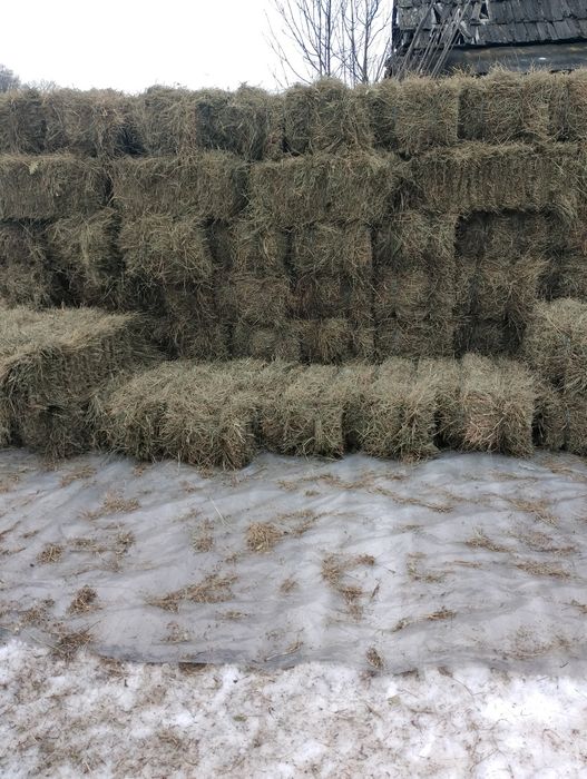 Baloți de fân 2025