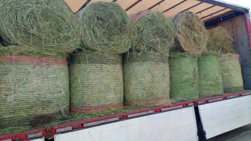 Baloti lucerna sau fan Livram doar la TIR min 40 Rotunzu sau 500 Dreptunghiulari Transport inclus RO