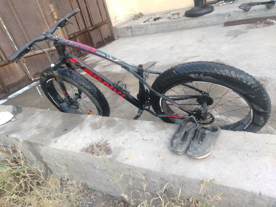 Velaseped narhi dagida