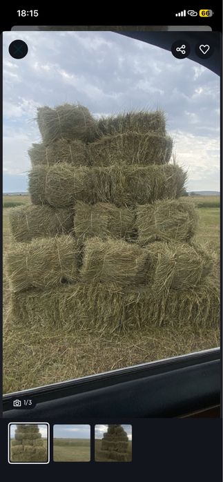 Сенооо тюковоййй