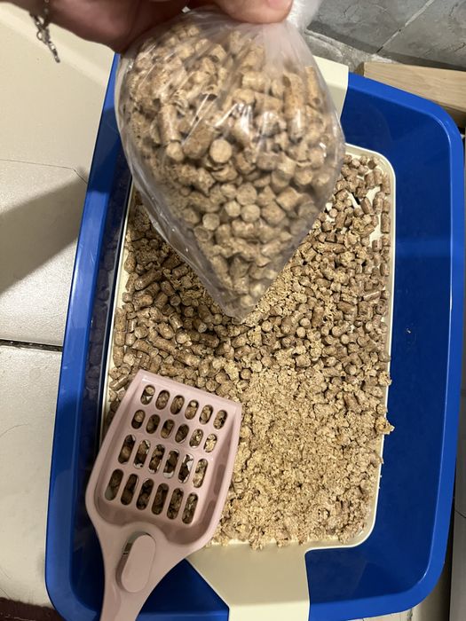 Мысық сатылады, заттарымен бірге