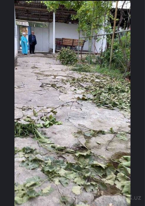 Участок в чирчике