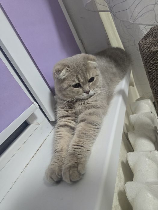 Приглашаем на вязку