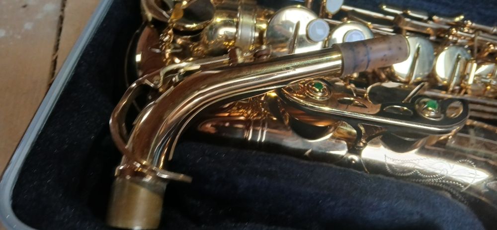 Saxofon parrot 6430l