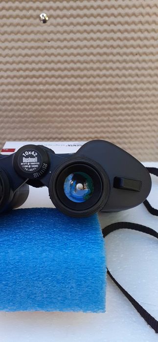 Binoclu Bushnell 10x42 WP
