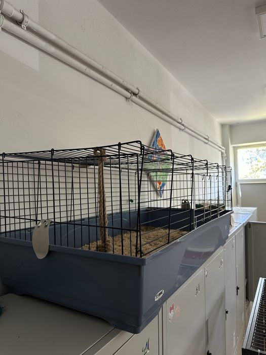 Cusca pentru animale mici, dimensiuni aprox 130/50/70