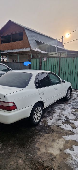 Аренда авто долго срочно