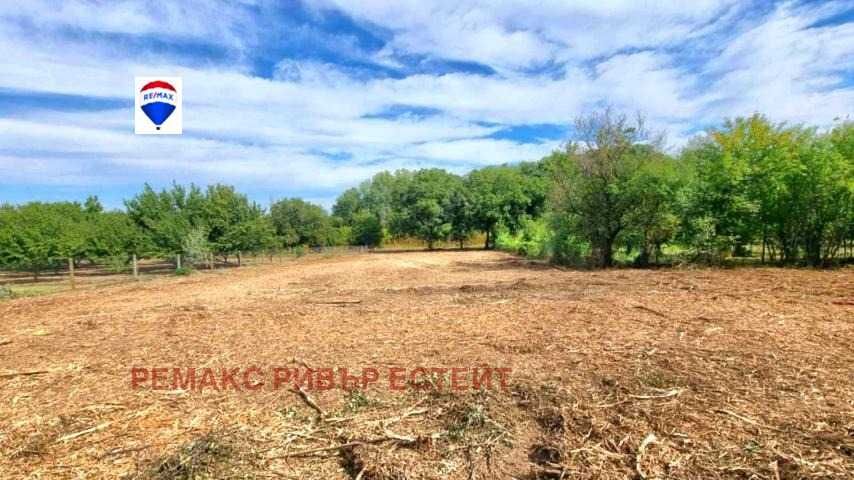 УПИ за продажба в с. Ряхово, обл. Русе