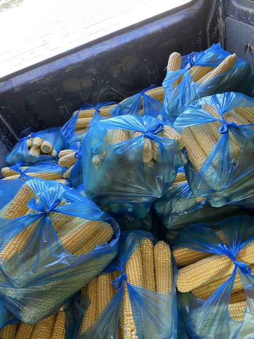 Joxori. макке .megaton .сладкая кукуруз . жухори