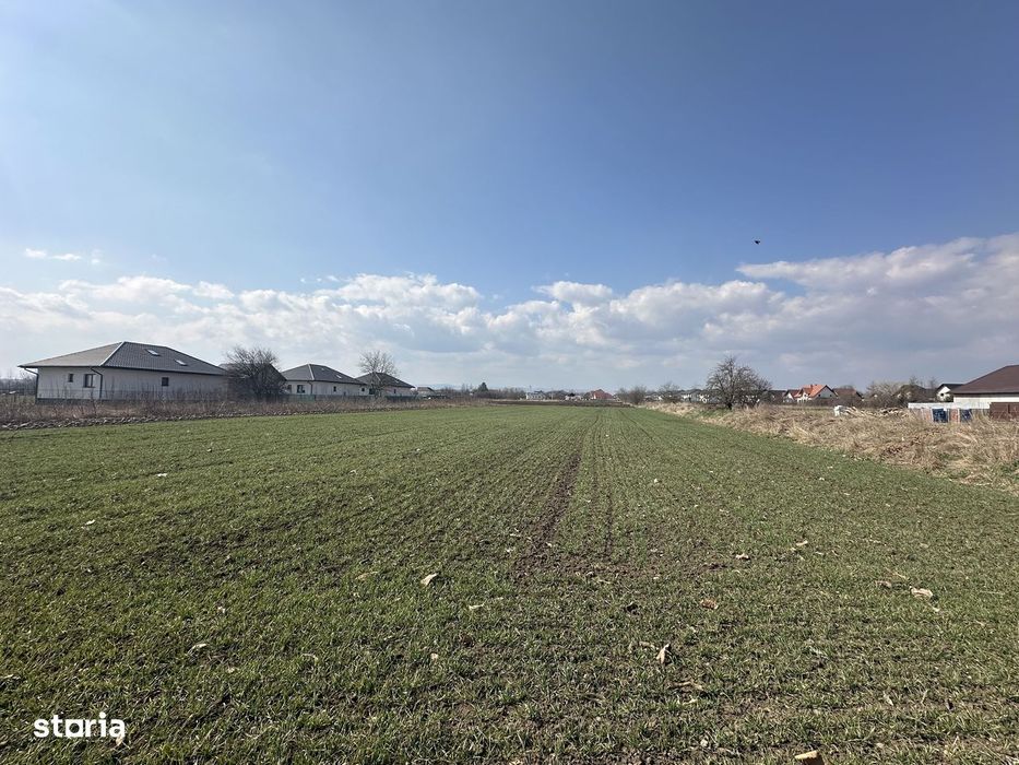 Teren intravilan 20 ari | Rădăuți | Front stradal 19.49 m