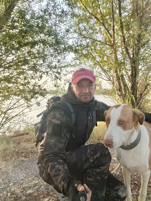 Продам собаку в добрые руки